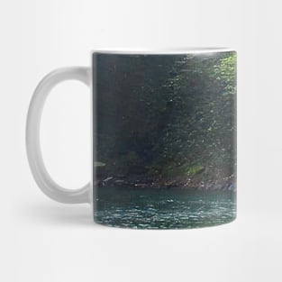 Falls in the Paradise Mug